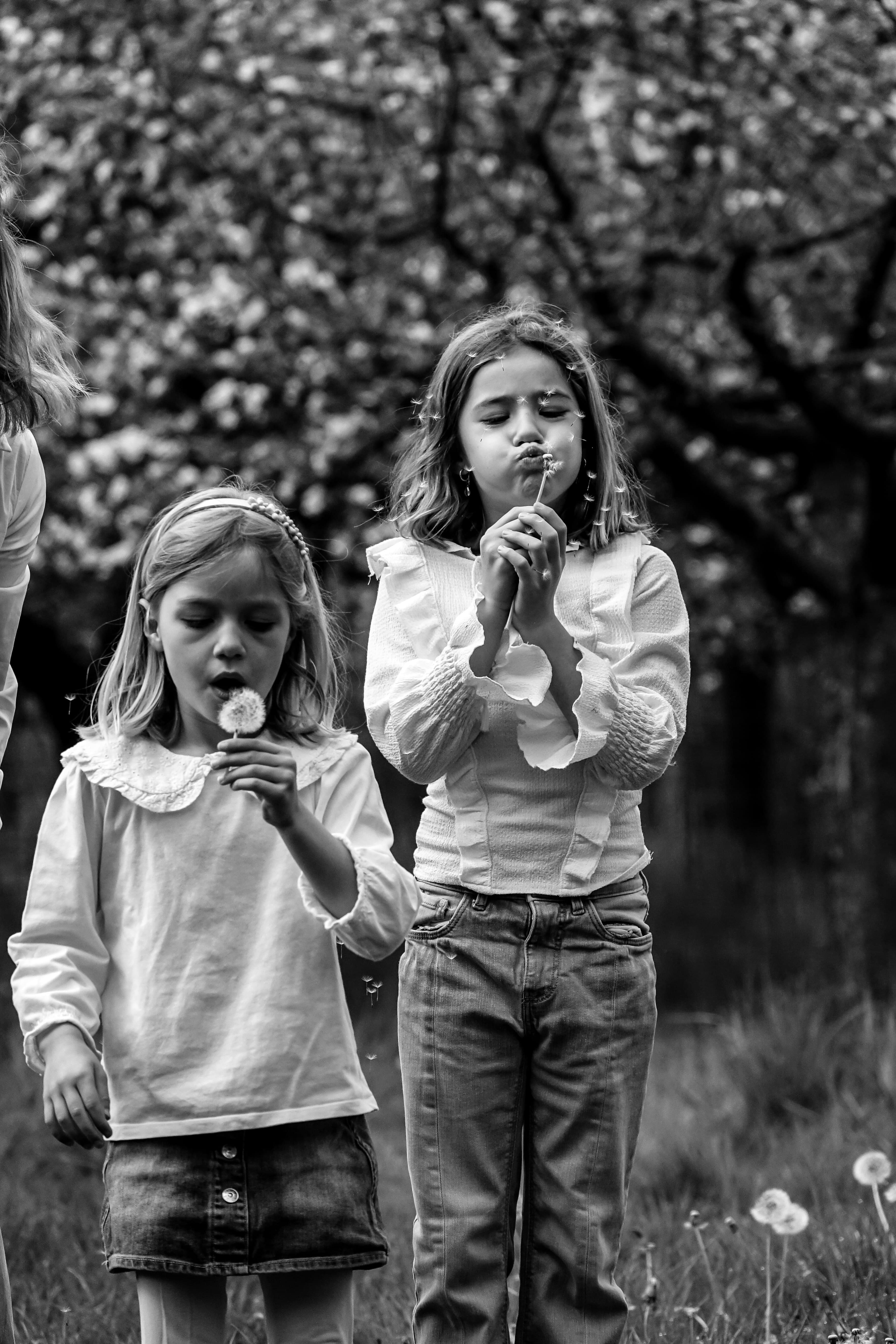 Twee kinderen spelen met paardenbloemen in een weide