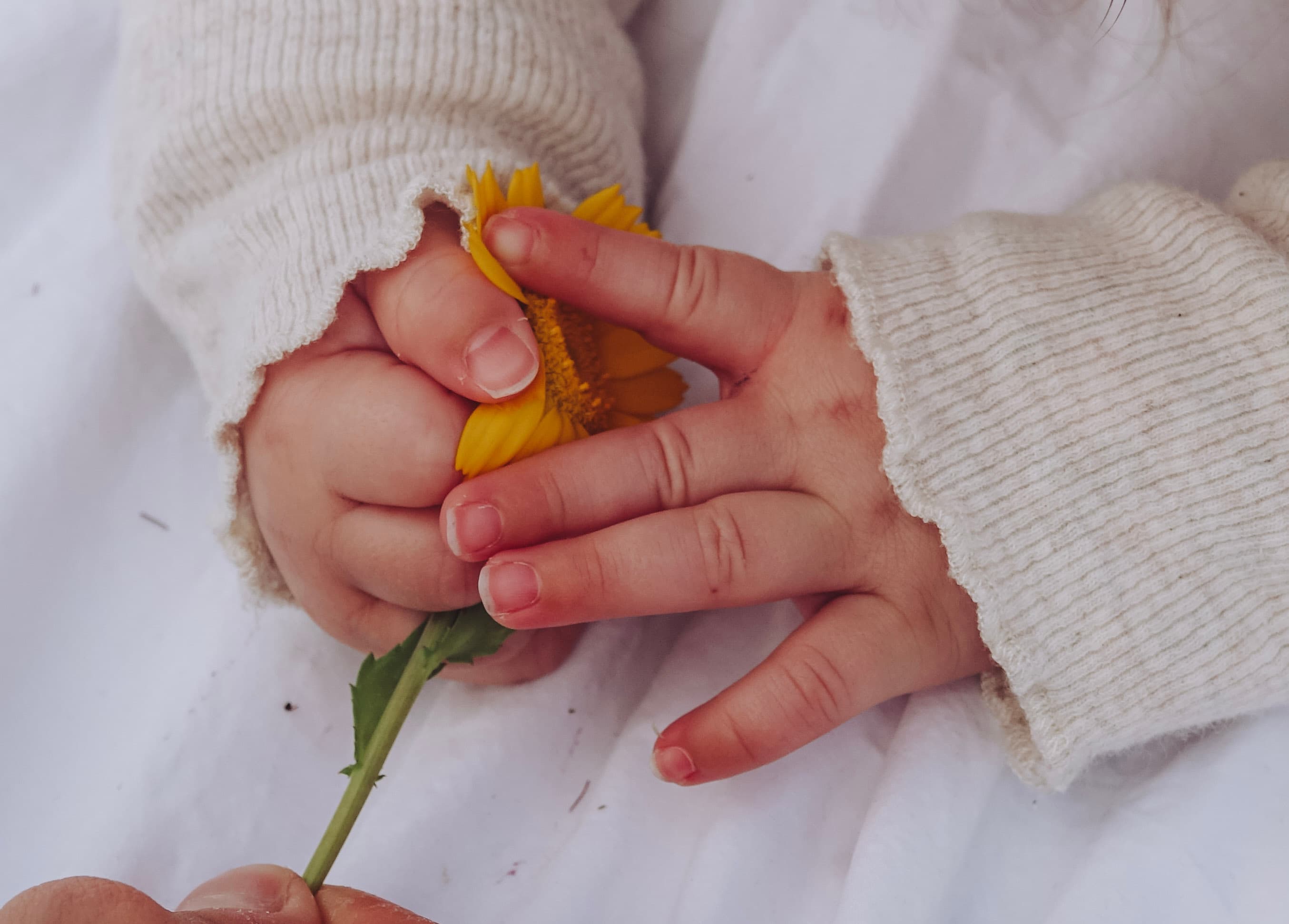 Kleine handjes houden samen een gele bloem vast